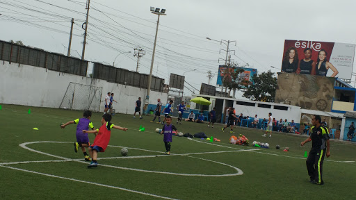 Campo Deportivo Andres Bello