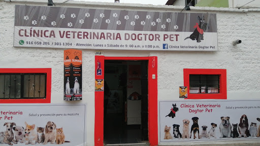 Dogtor Pet