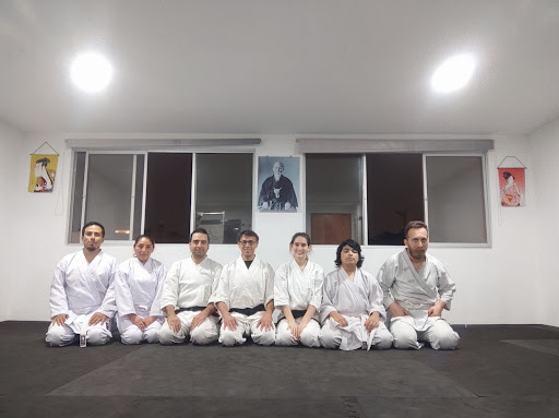 Aikido Perú - Buse Dojo