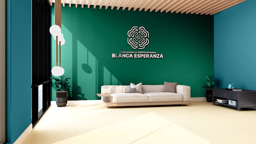 Consultoría Blanca Esperanza (Psicólogos en Lima)