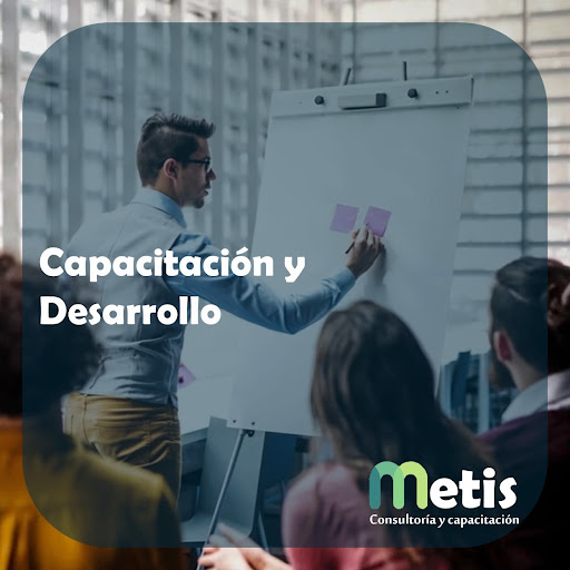 Metis Consultoría y Capacitación