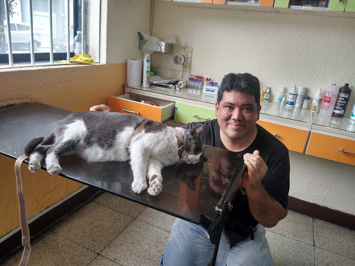 Veterinaria María Auxiliadora