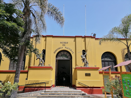 Museo de Historia Natural UNMSM