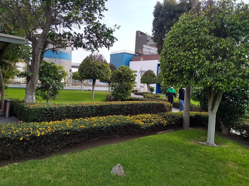 JARDINEROS EN LIMA