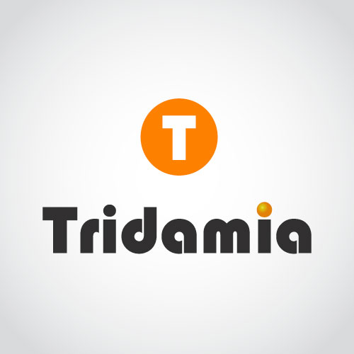 Tridamia Agencia de Marketing Digital y Publicidad