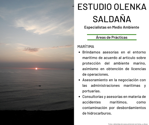 Servicio Técnico, Reparación de Termas Sole, Bryant, Bosch, Sakura - Calentadores - Termotanques . Alerta Perú Técnico